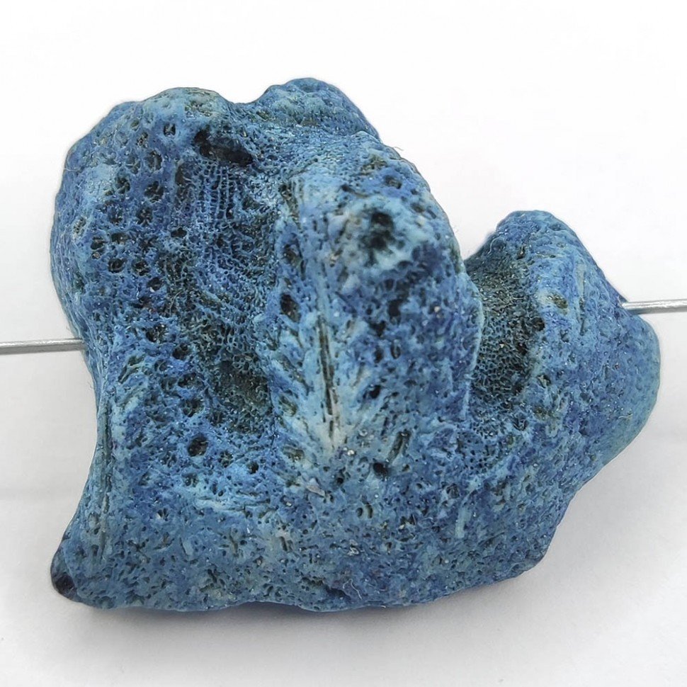 Blue Coral